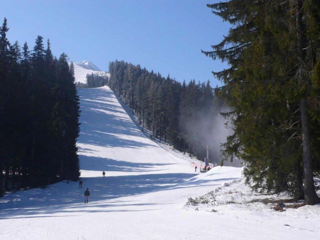Chalet White Fang Banszko Kültér fotó